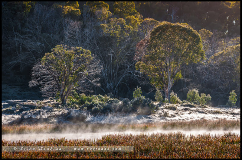 Озеро Катани (Lake Catani) - Парк Горы Баффало, Mount Buffalo, Викторианские Альпы, Victorian Alps, Виктория, Victoria, Австралия, Australia