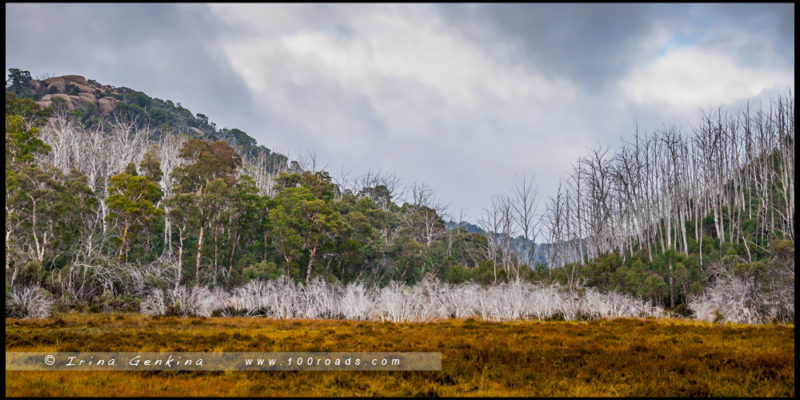 – Район реки Кристал Брук (Crystal Brook) с Mount Buffalo Rd - Парк Горы Баффало, Mount Buffalo, Викторианские Альпы, Victorian Alps, Виктория, Victoria, Австралия, Australia