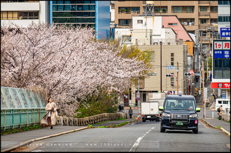 Shinmitsuke Bridge