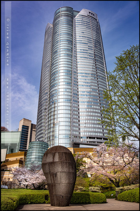 Roppongi Hills Mori Tower & sakura