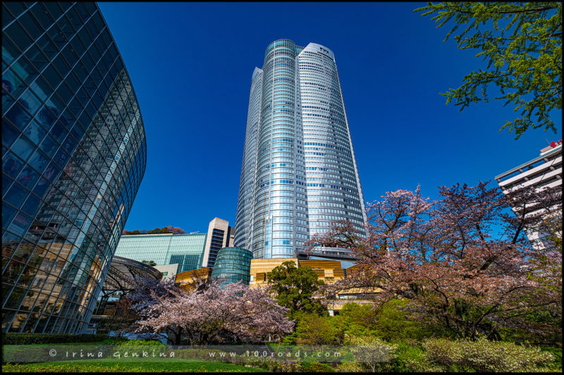 Roppongi Hills Mori Tower & Mori Garden