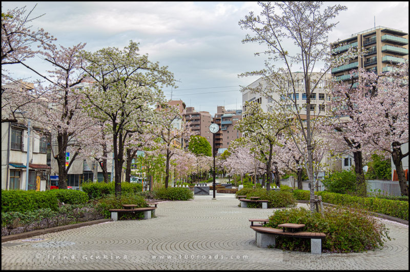 Sanyabori Park (山谷堀公園), Асакуса, Токио