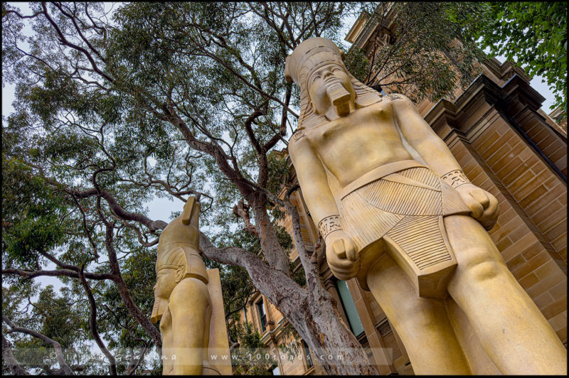 Вставка «Рамзес и золото фараонов» (Ramses & the Gold of the Pharaohs, Sydney, Australia