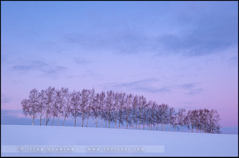 Hokkaido, Japan