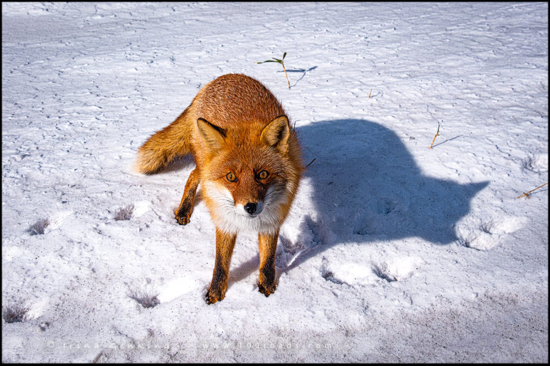 Hokkaido, Japan