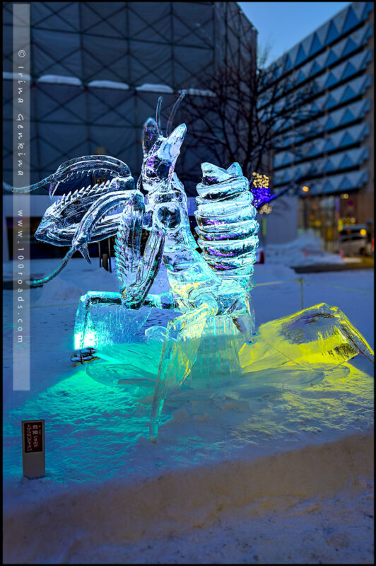Asahikawa Winter Festival