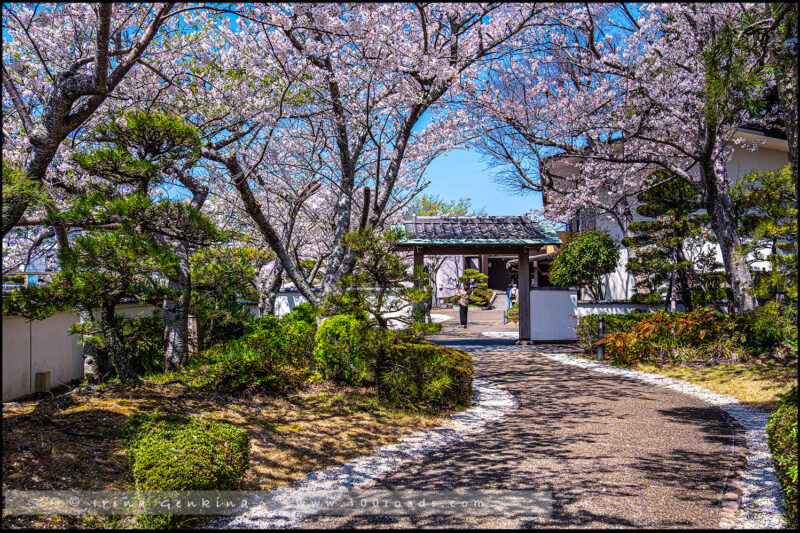 Жемчужный остров Микимото, Mikimoto Pearl Island