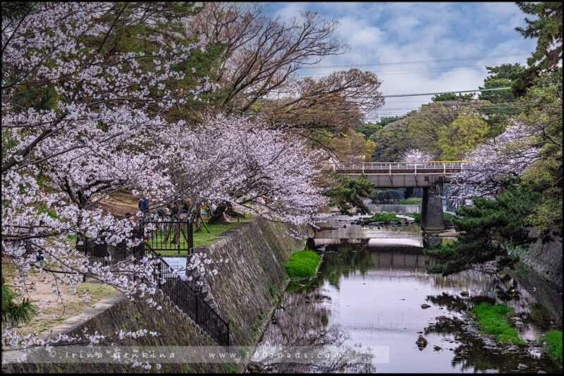 Парке Сюкугава (Shukugawa Park)