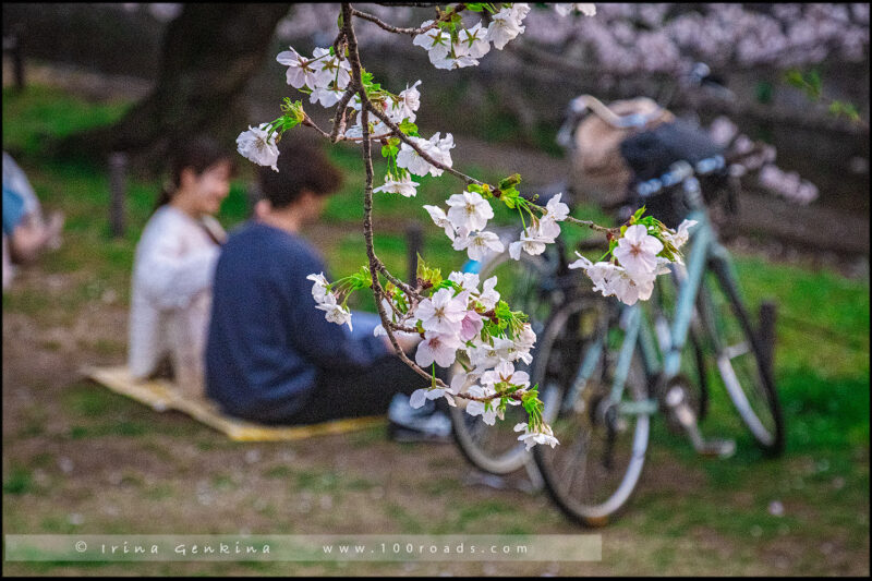 Парке Сюкугава (Shukugawa Park)