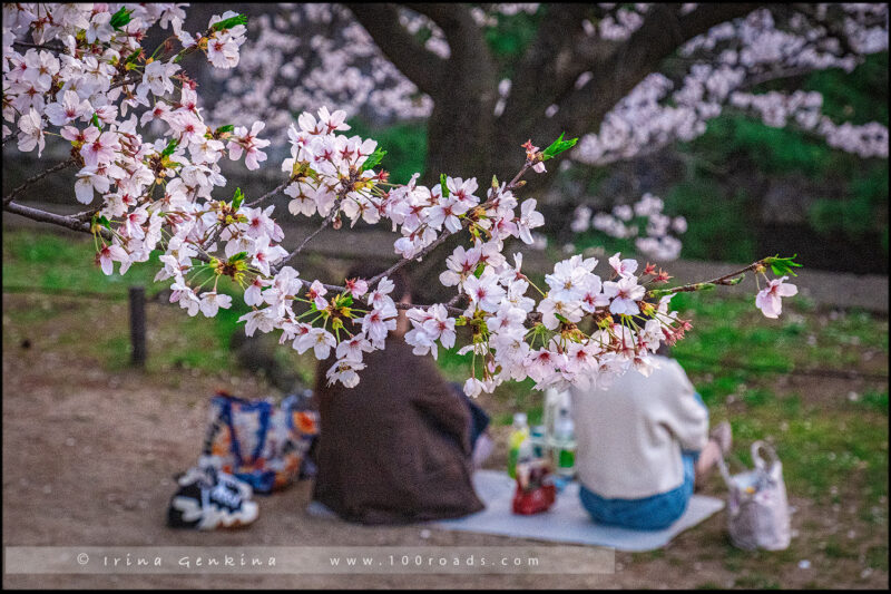 Парке Сюкугава (Shukugawa Park)