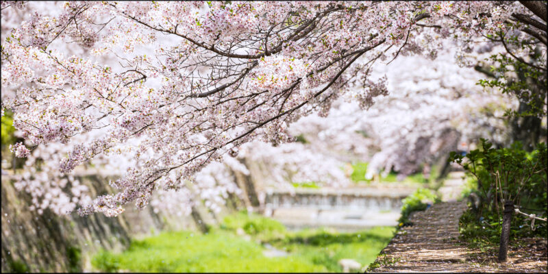 Парке Сюкугава (Shukugawa Park)