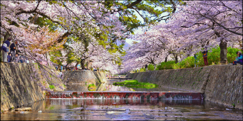 Парке Сюкугава (Shukugawa Park)